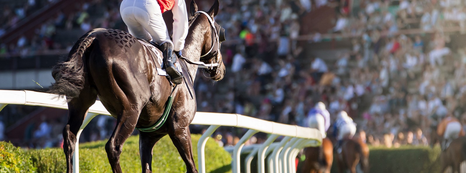 Cheltenham Festival - It's more than just 'a day at the races'