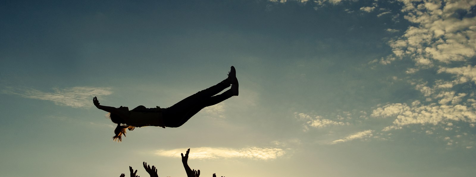 What makes for a successful company?