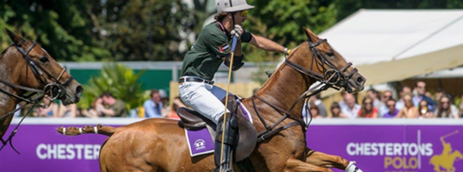 Book official Polo in the Park hospitality today!